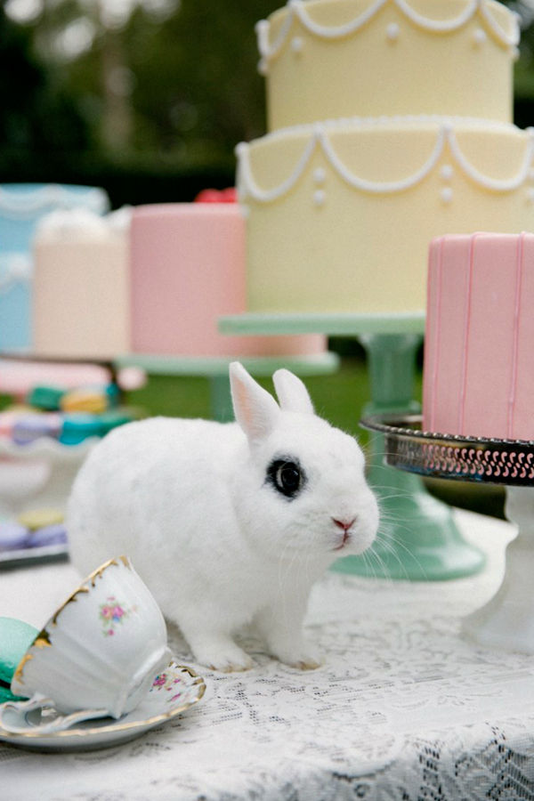 Ruche_lookbook_spring2013_tea_for_two01