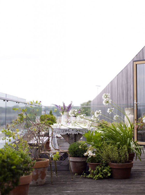 debi_treloar_Photography_07