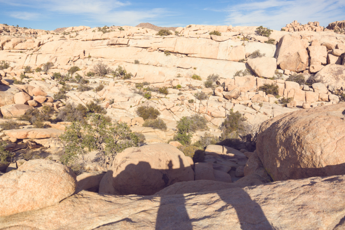 Mai Bri Joshua Tree Engagement - 001