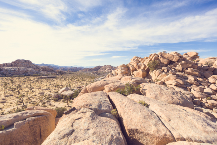 Mai Bri Joshua Tree Engagement - 002