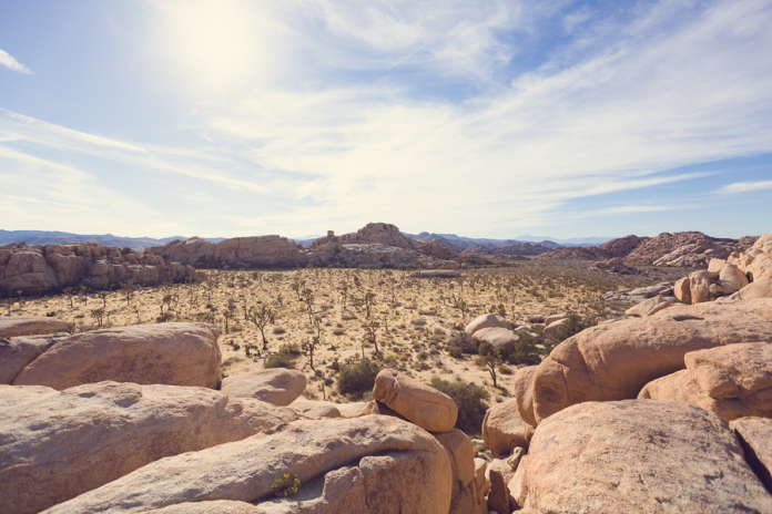 Mai Bri Joshua Tree Engagement - 004