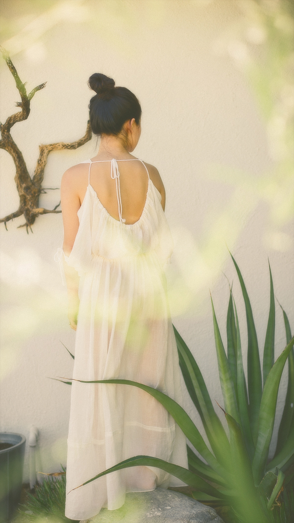 Grecian Maxi Dress Free Poeple